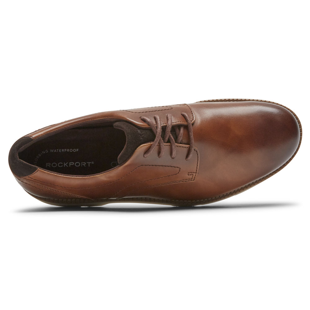 Rockport Oxfords Herr Bruna - Bradlee Plain Toe - QWNIL8276